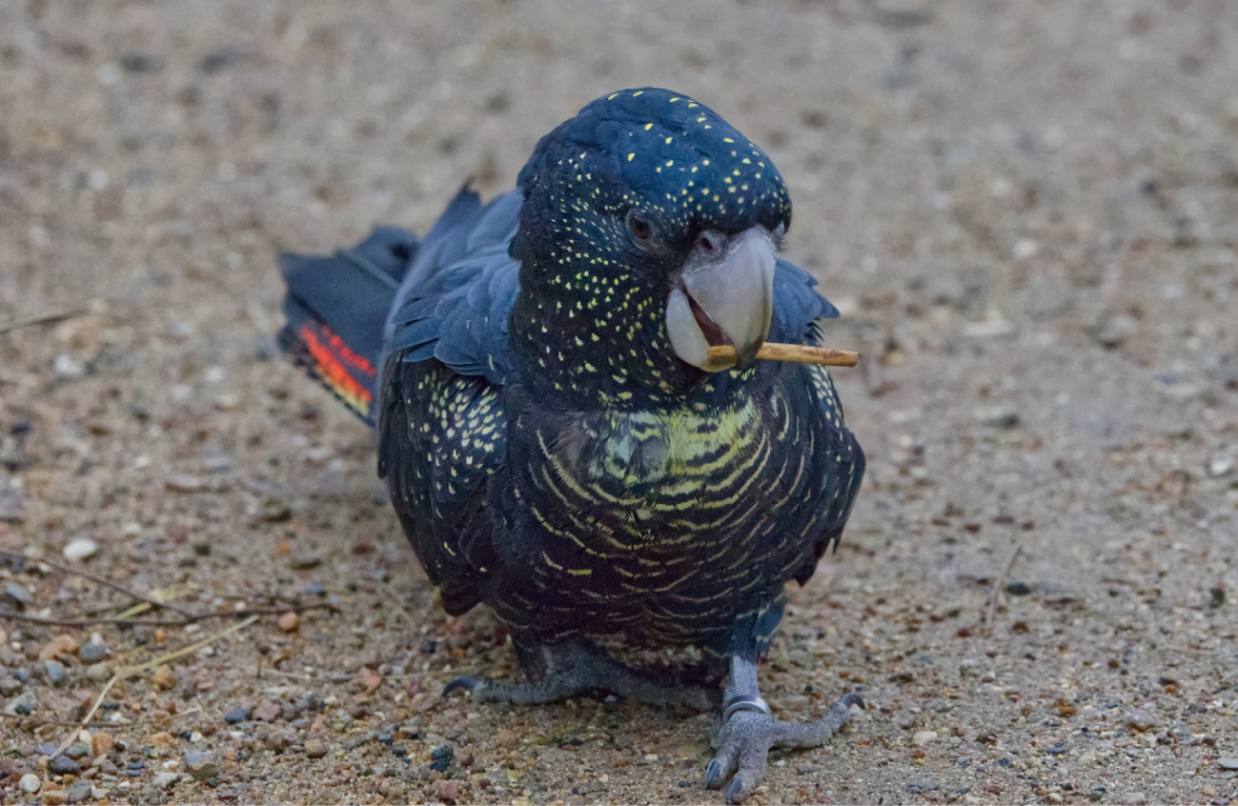 Copenhagen Zoo - Denmark - 2023.