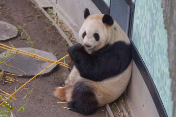 Zoo - København 2023.