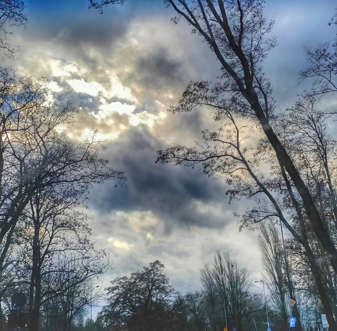 WINTER SKY