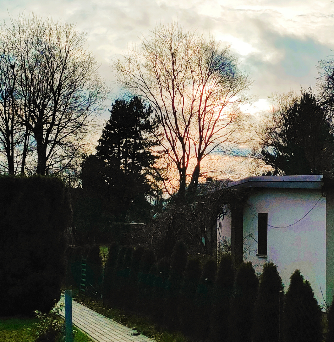 WINTER SKY
