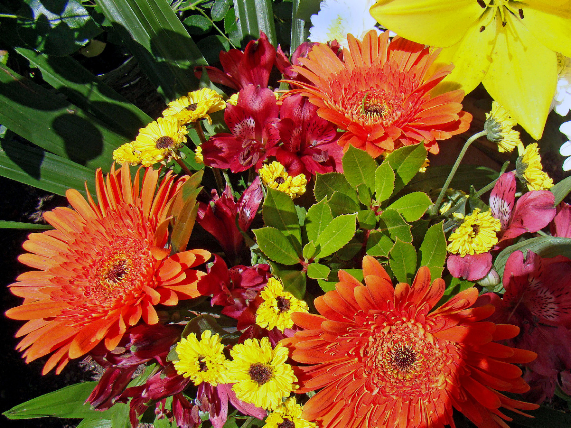 BLÜTEN