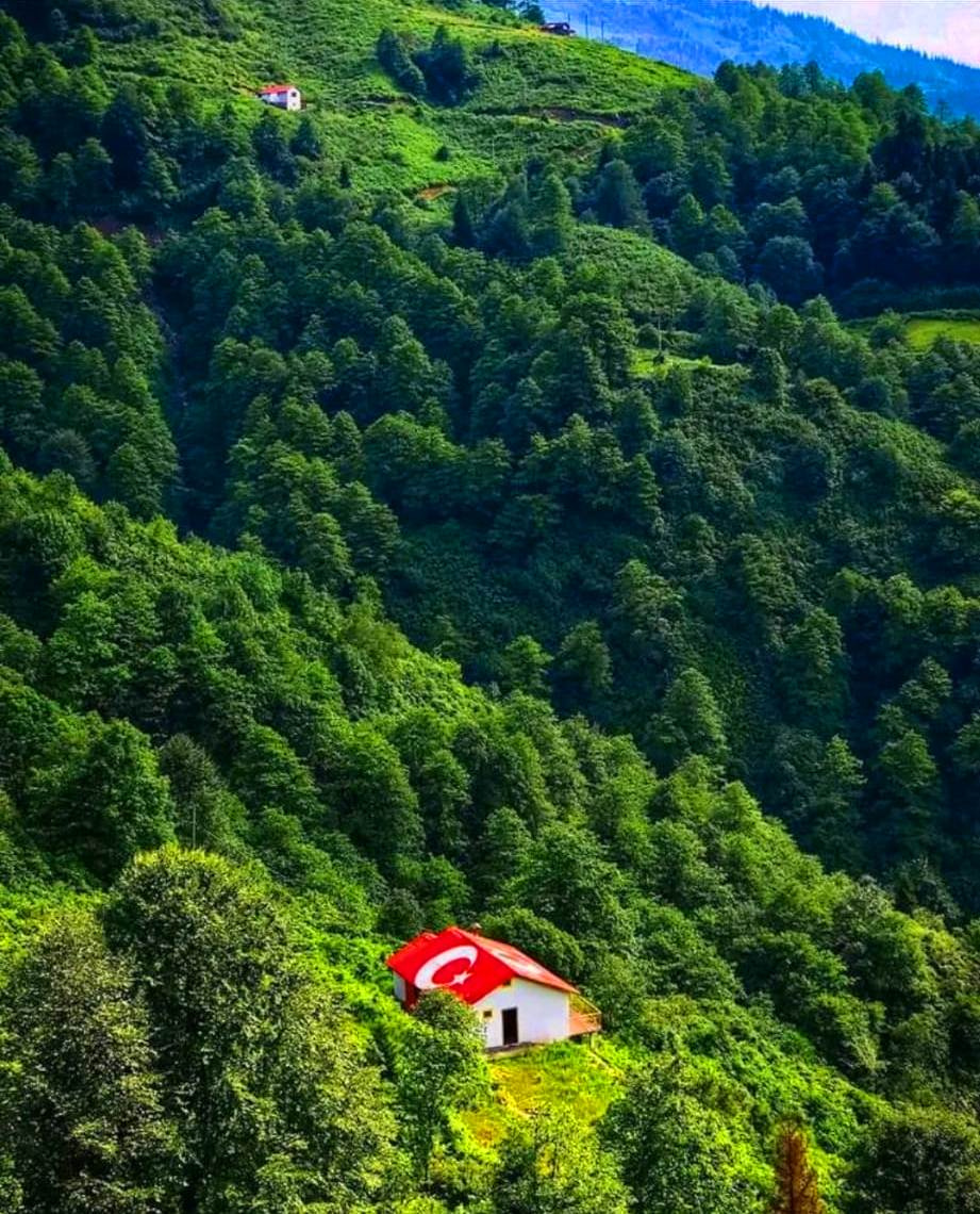 DOĞA