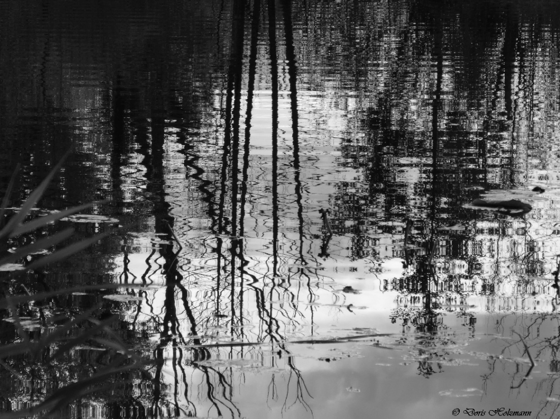 Reflections
