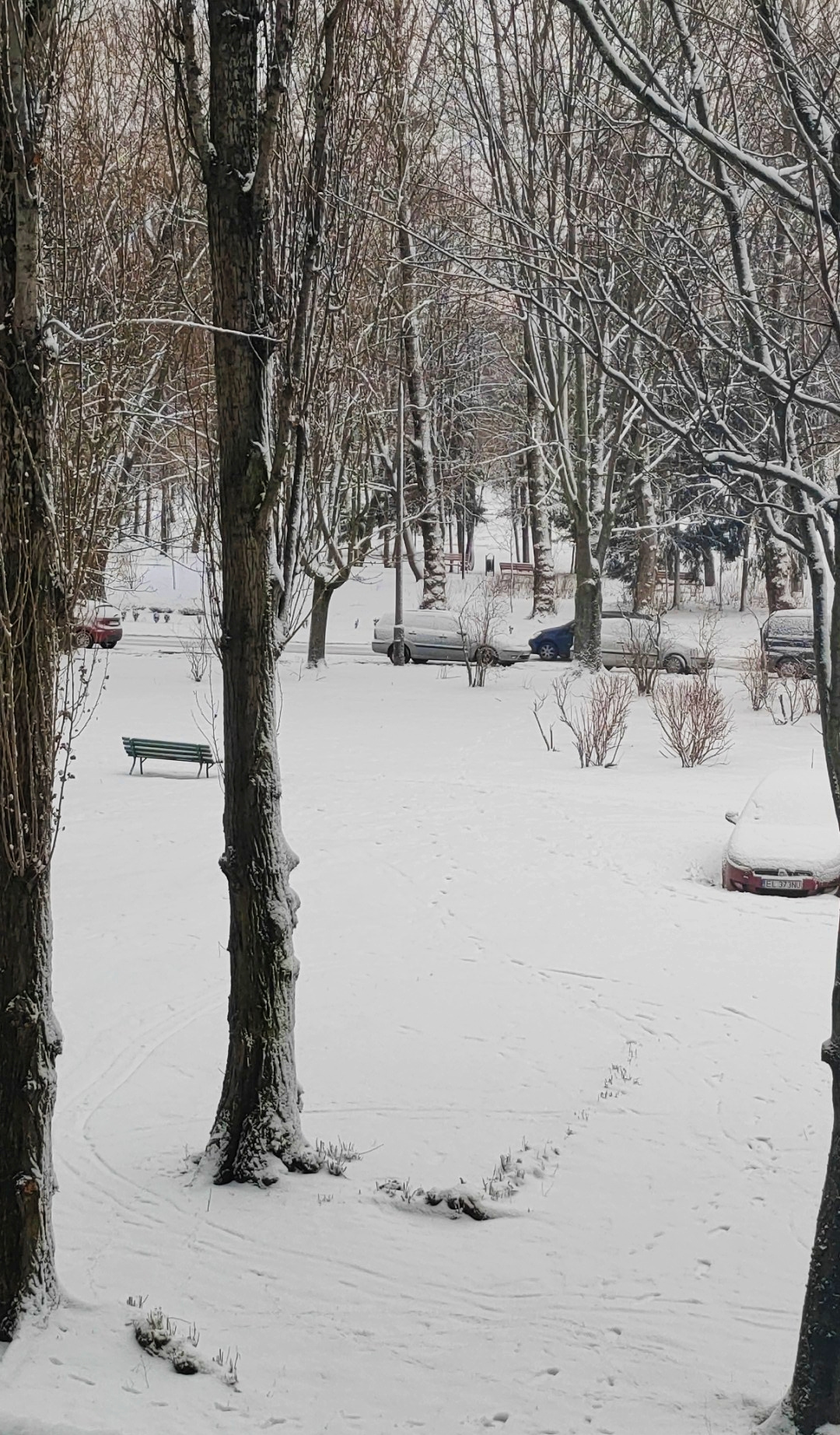 SNOW, SNOW, SNOW AGAIN