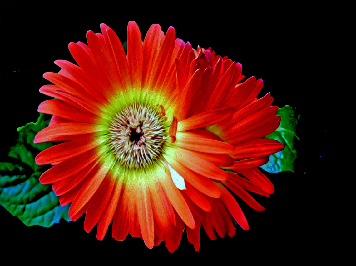 BLÜTEN
