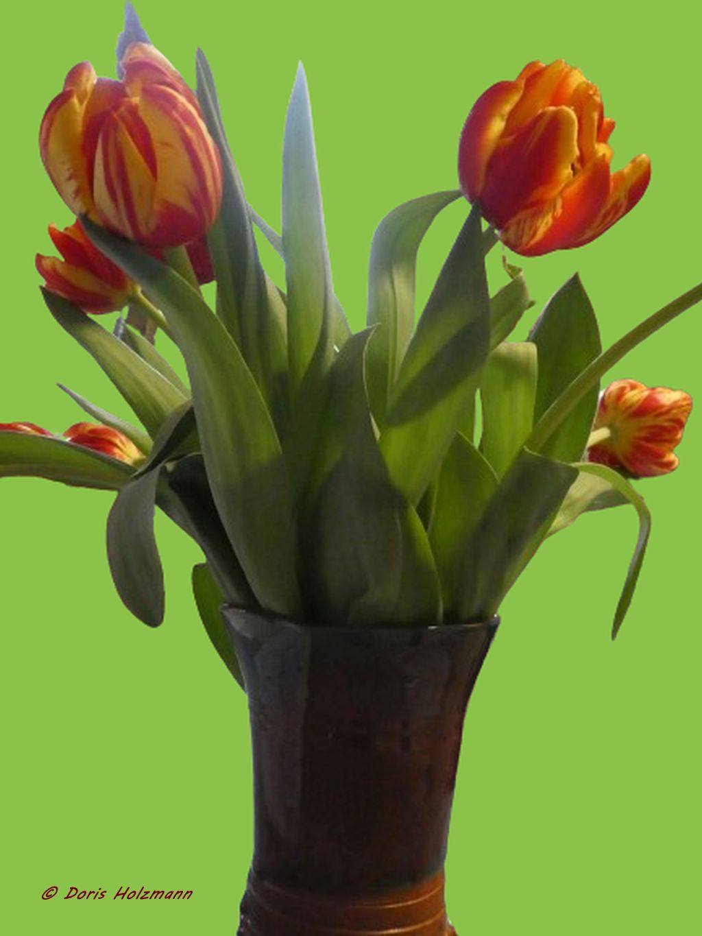 tulips