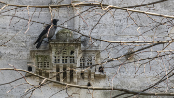 Kuş Evi