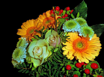 BLÜTEN
