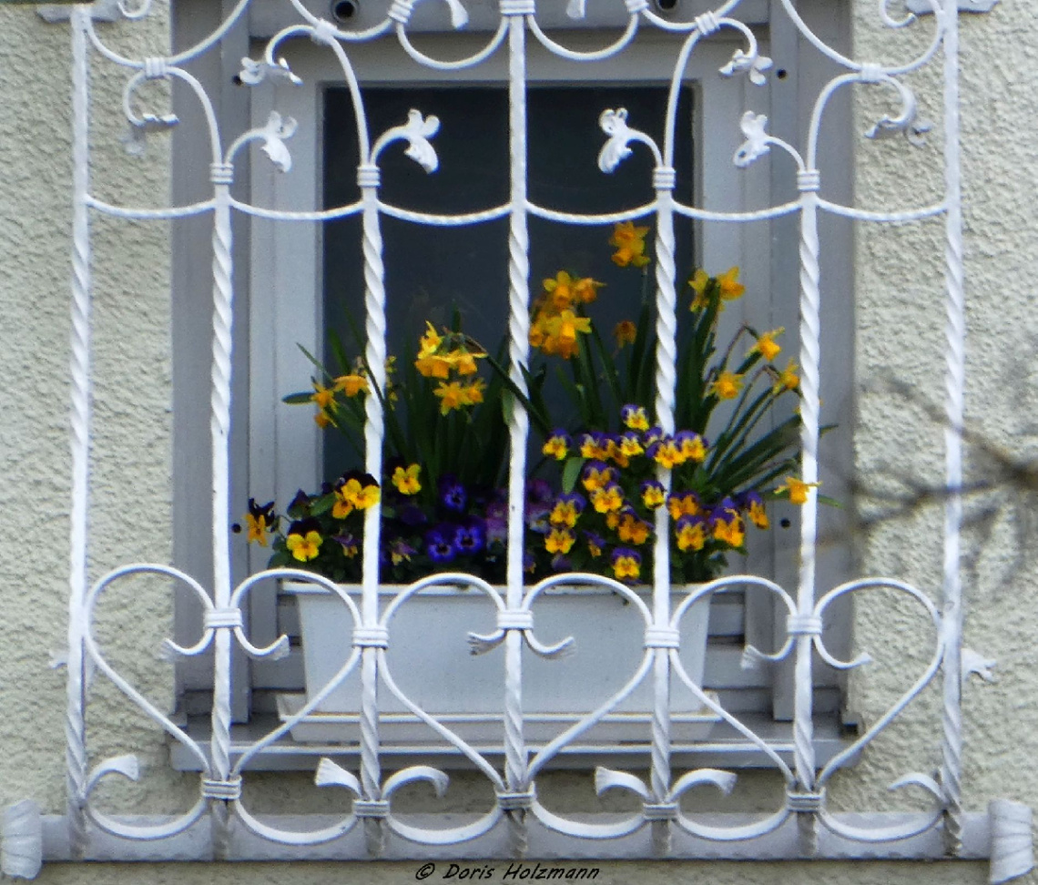 in the neighborhood