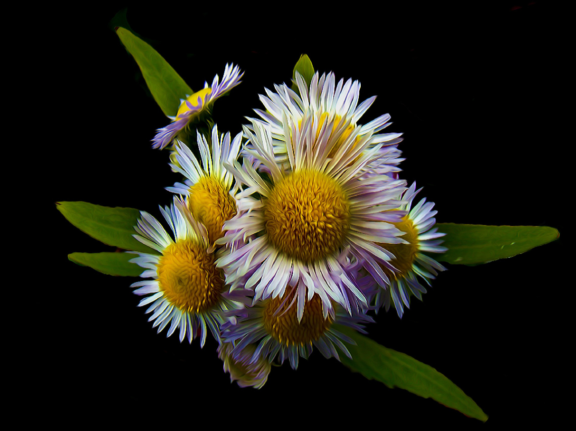 BLÜTEN