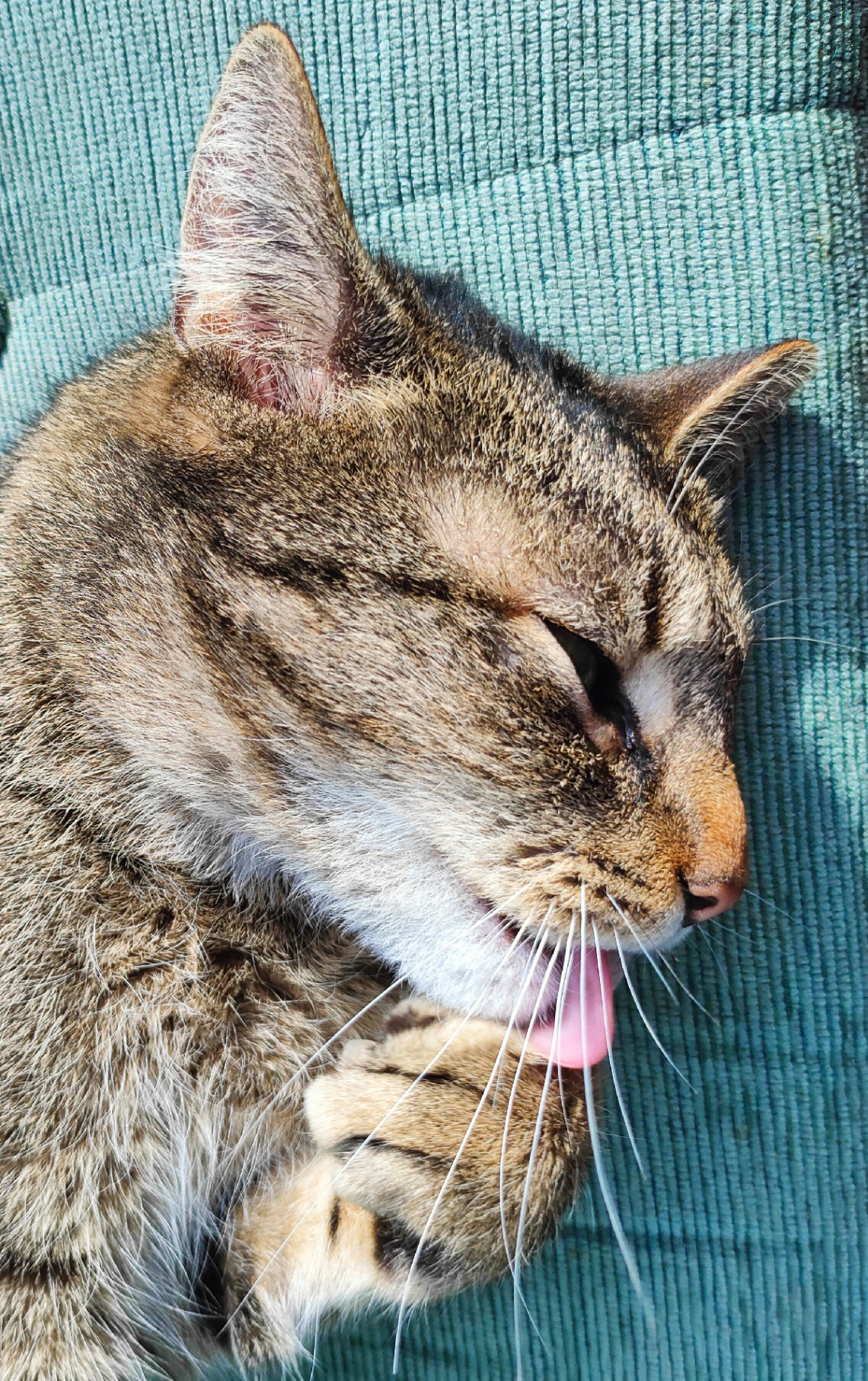 SO SLEEPY