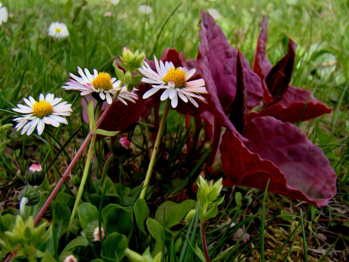 BLÜTEN