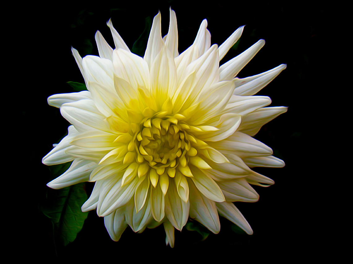 BLÜTE