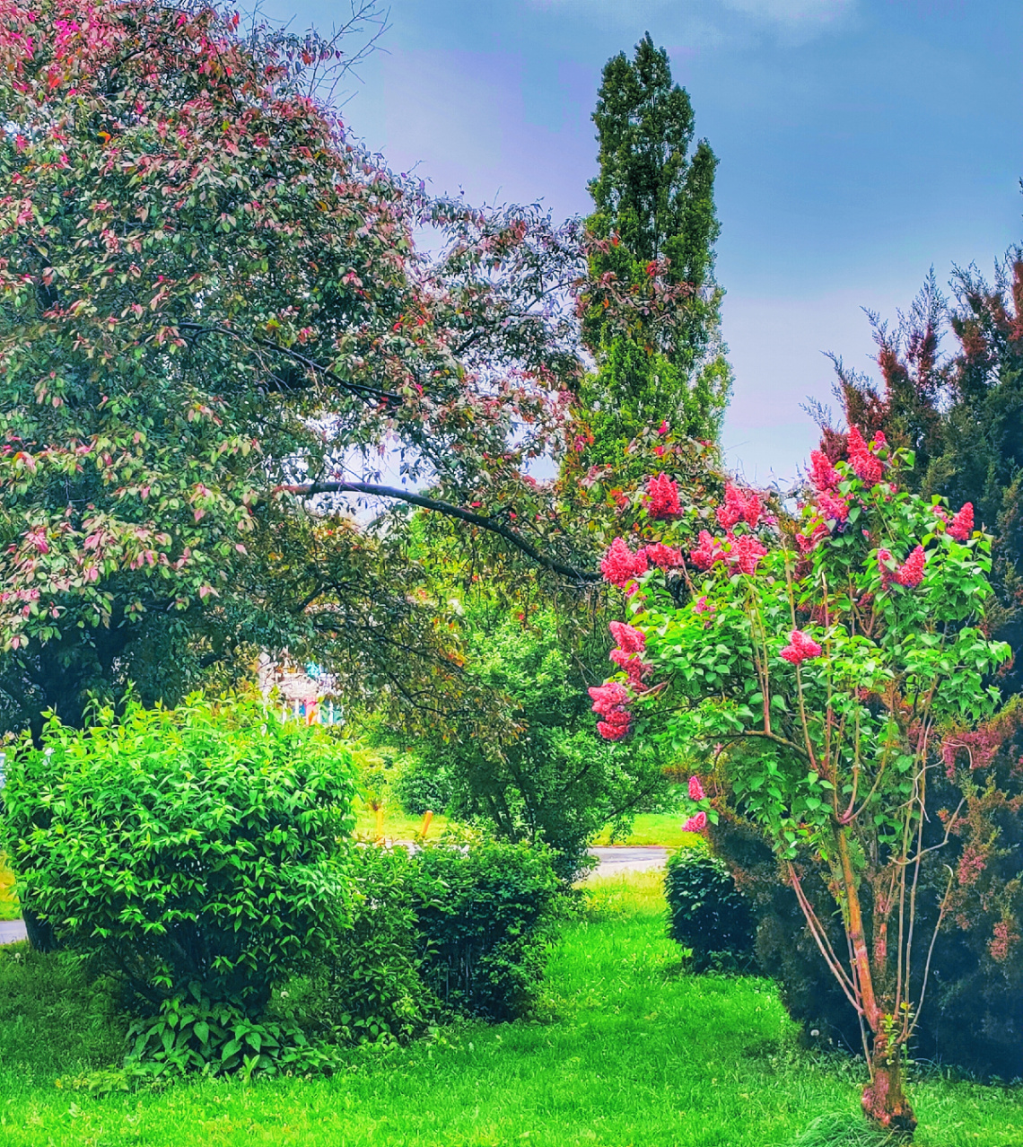 COLOURFUL SPRING