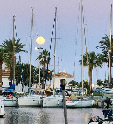 MOON OVER MARINA 