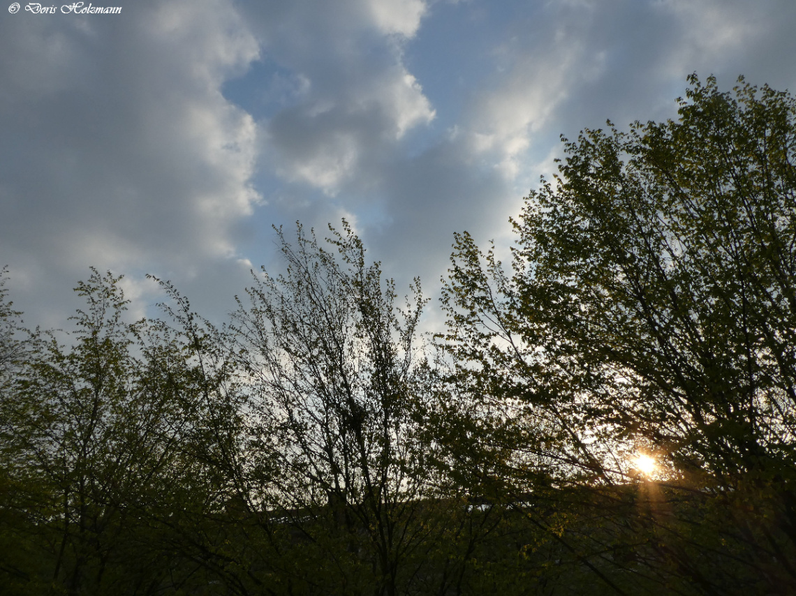 In the evening, Karlsruhe / Germany 