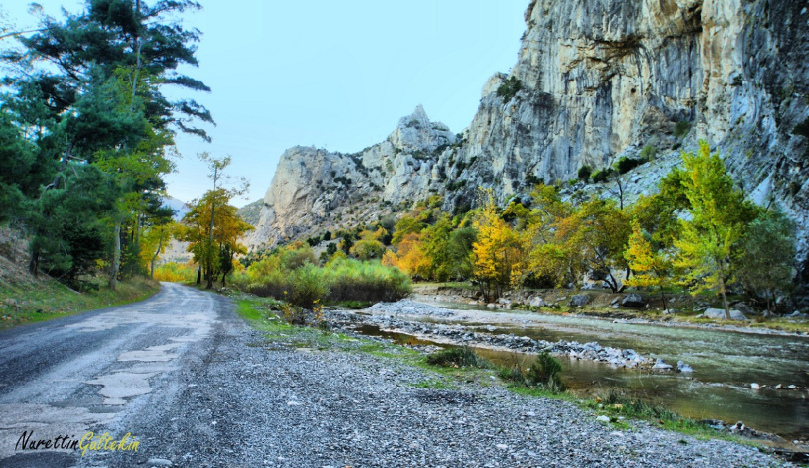 DOĞADAN