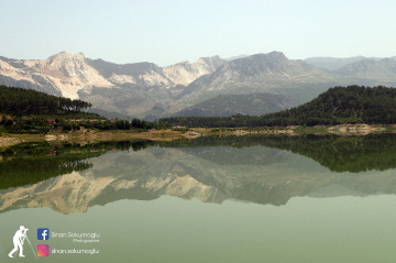 yansımalar