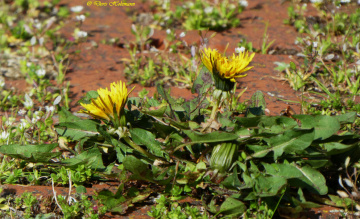 Along the way, Karlsruhe / Germany 