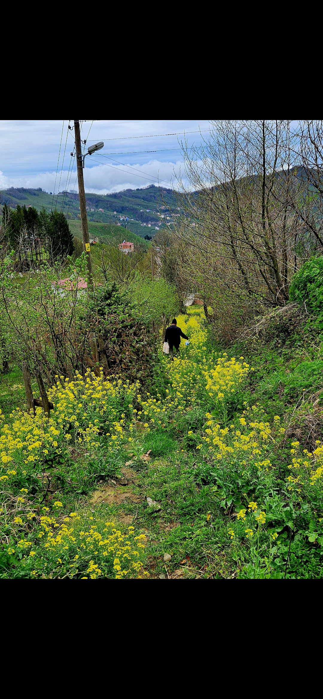 Çiçekli yol