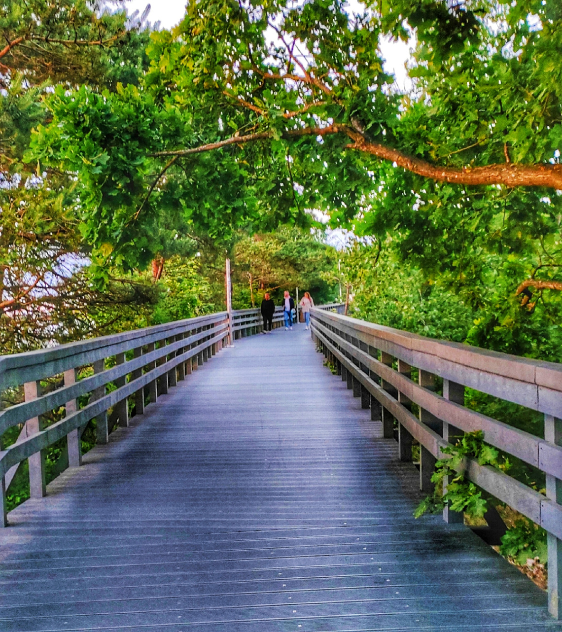 PROMENADE