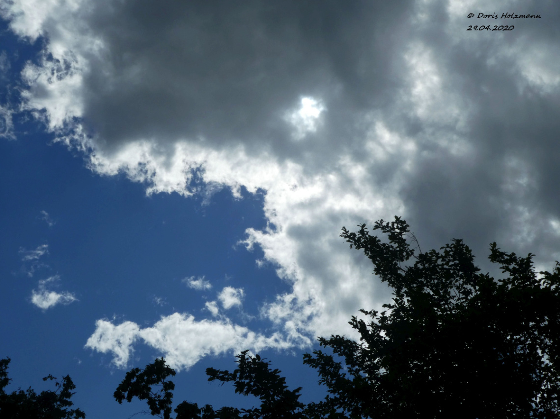 Weather