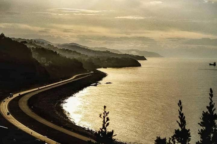 YoL