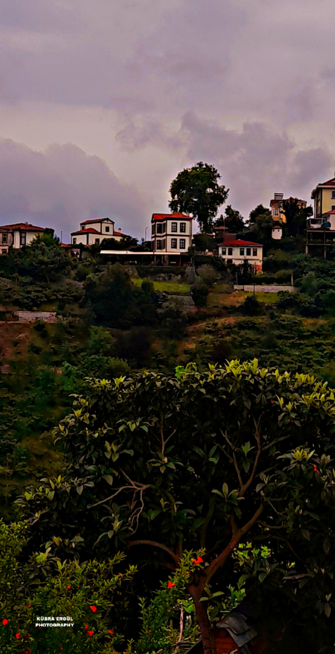 Manzara 