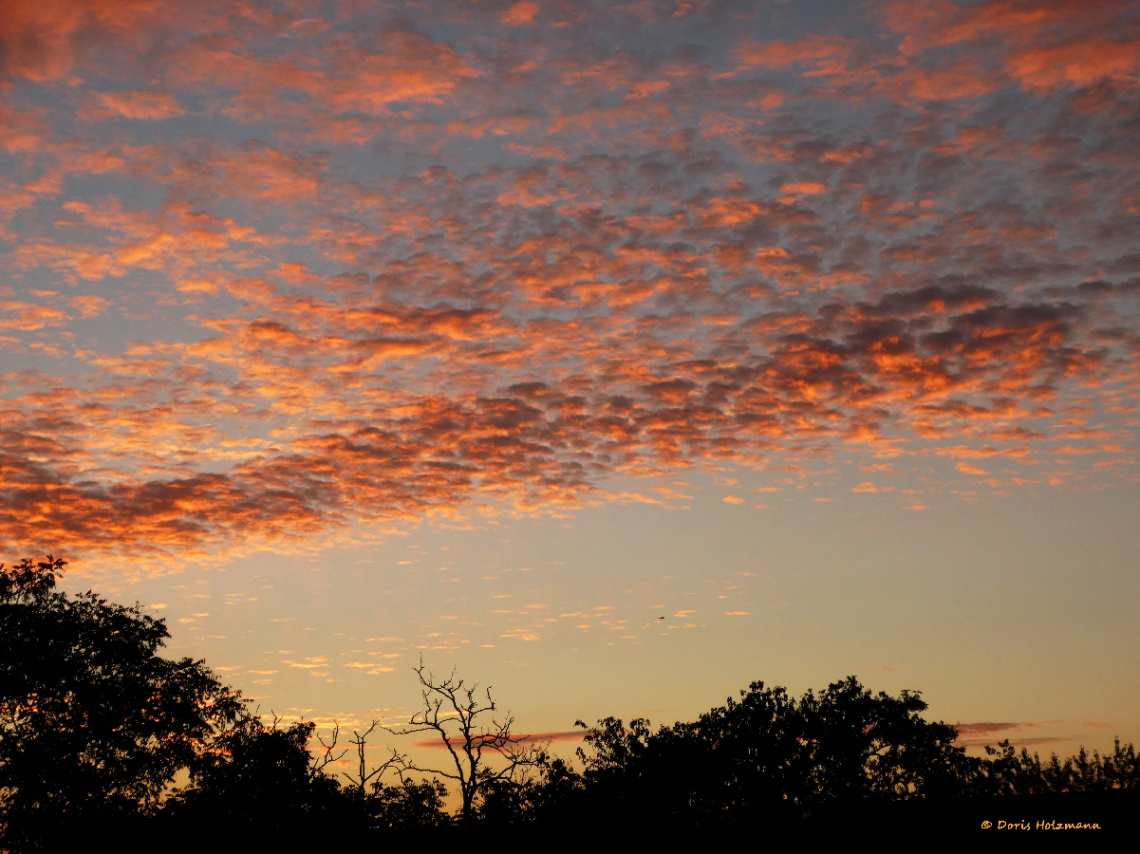 Sunrise , Karlsruhe / Germany 