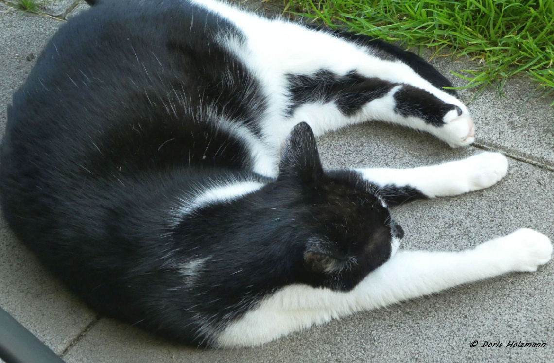 relaxed 