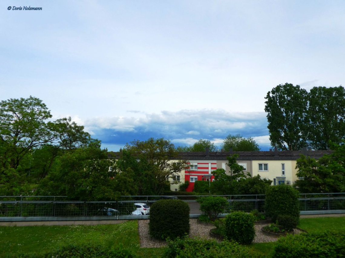 View from the window 