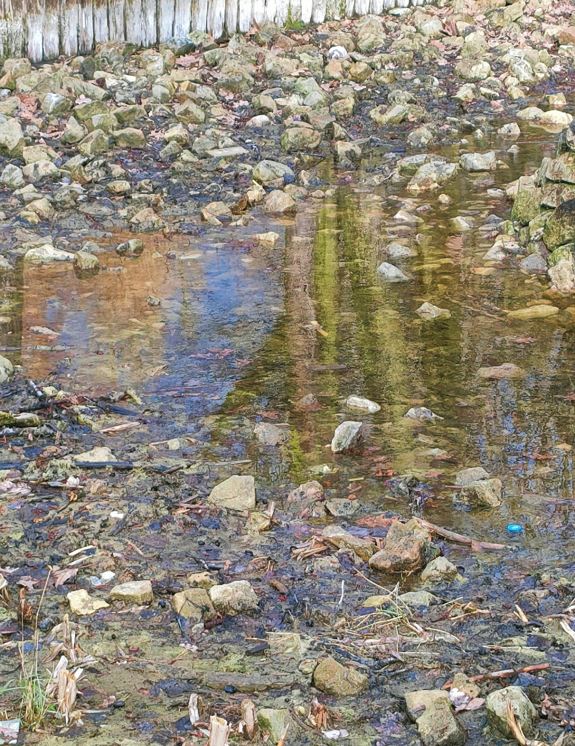 REFLECTION