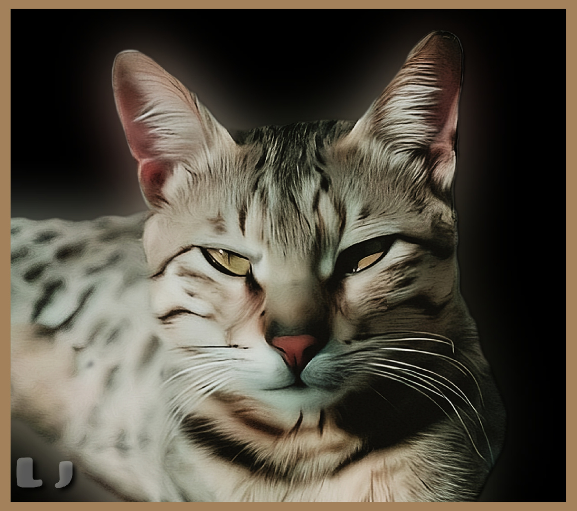 Goshu the cat ⚜⚜