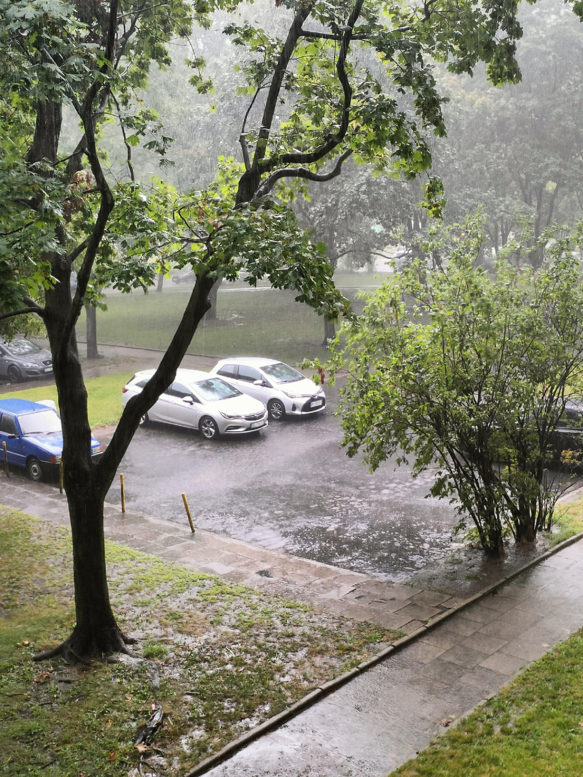 RAINY DAY 