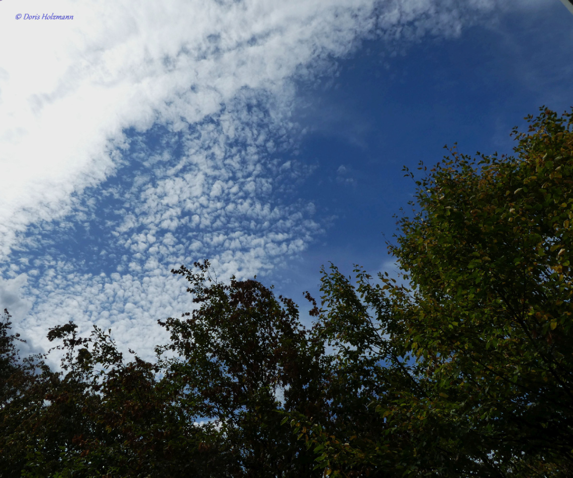clouds