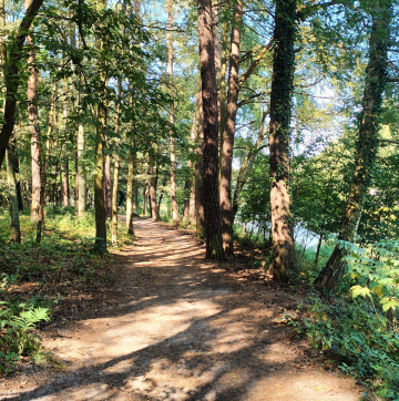 ŁAGIEWNICKI FOREST