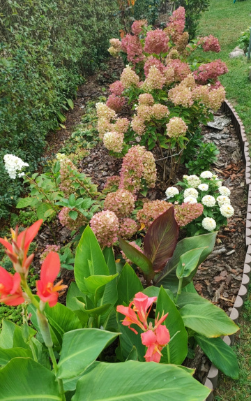 BEAUTIFUL SEPTEMBER 
