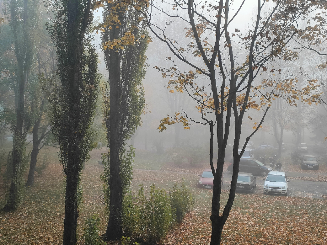 MISTY AUTUMN MORNING