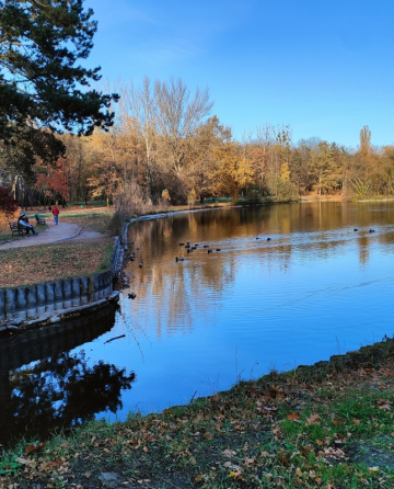 AT THE POND