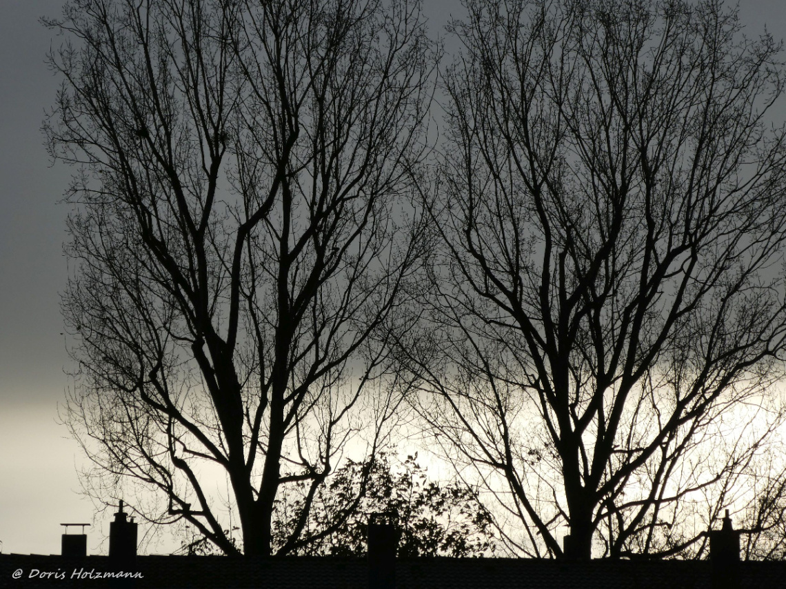 This morning, 9 a.m., Karlsruhe / Germany 