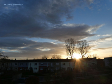 Morning sun in Karlsruhe / Germany 