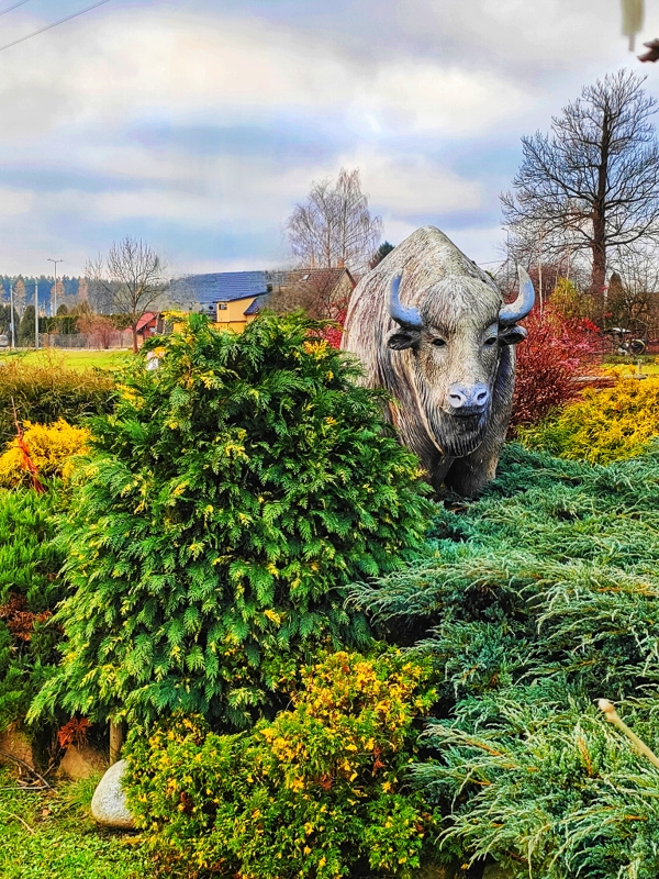 SCULPTURE IN NATURE