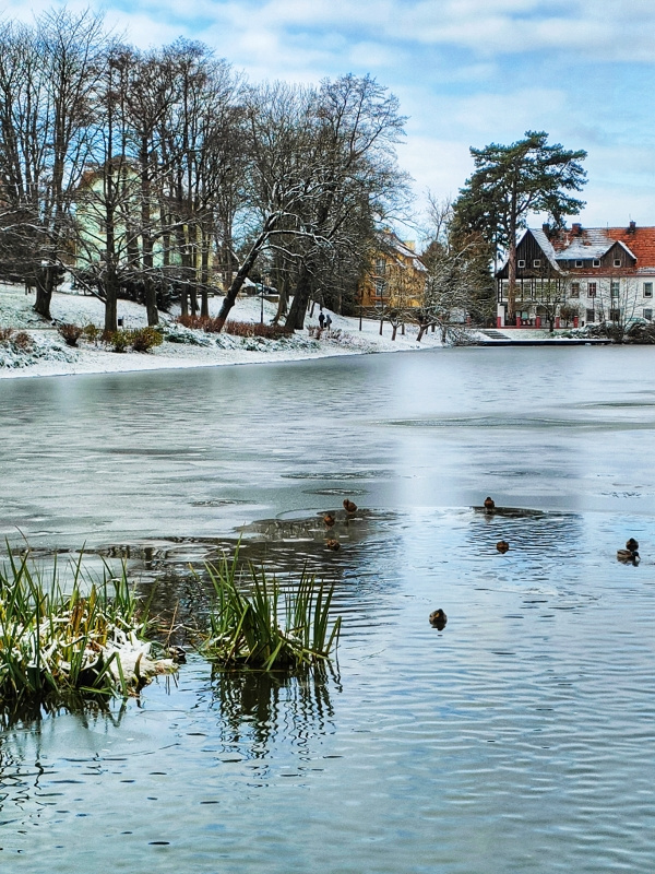 NOVEMBER'S POND