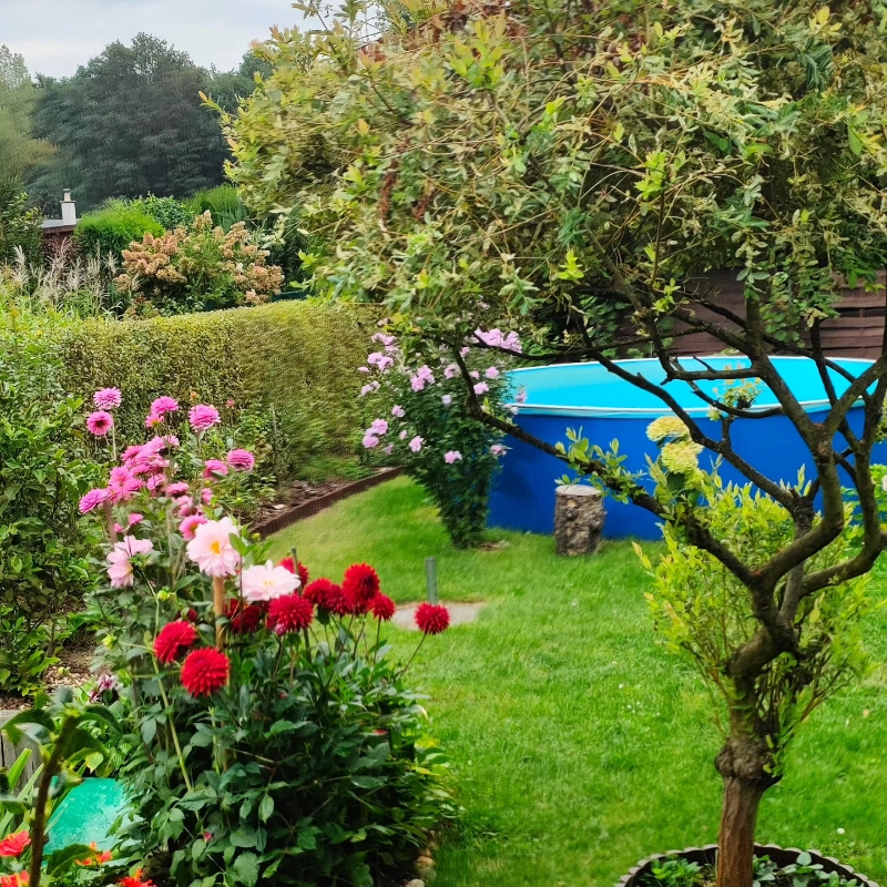 MEMORY OF THE AUTUMN GARDEN