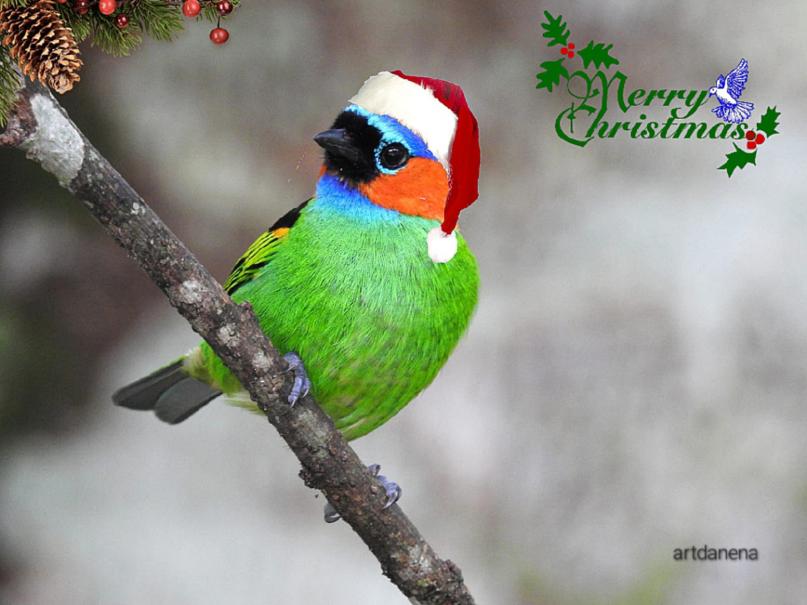 Feliz Natal! - mutlu Noeller!