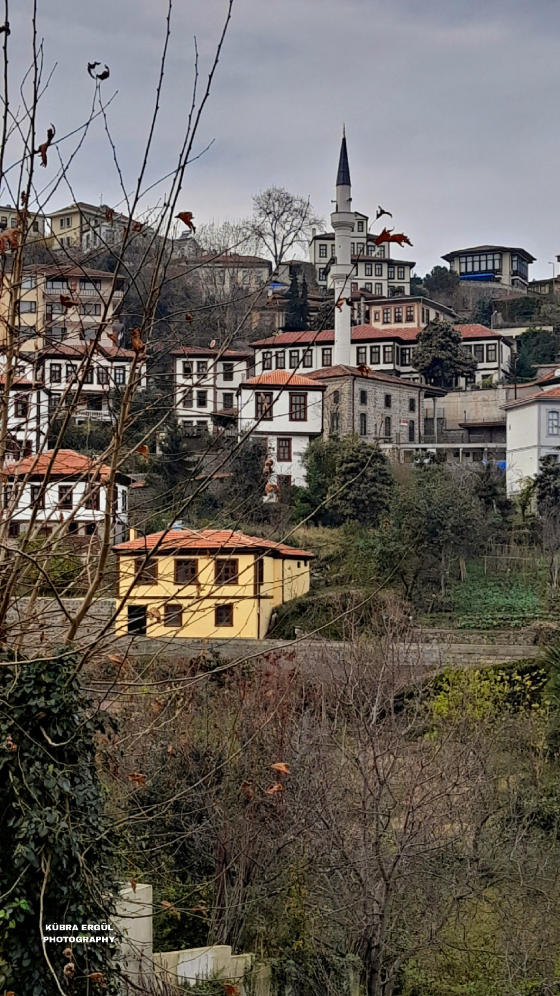 Manzara 