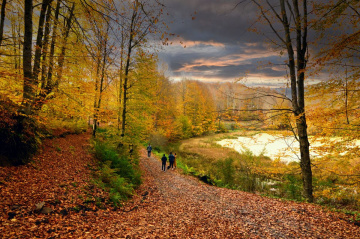 ULUGÖL   DE SONBAHAR  ( GÖLKÖY /ORDU )