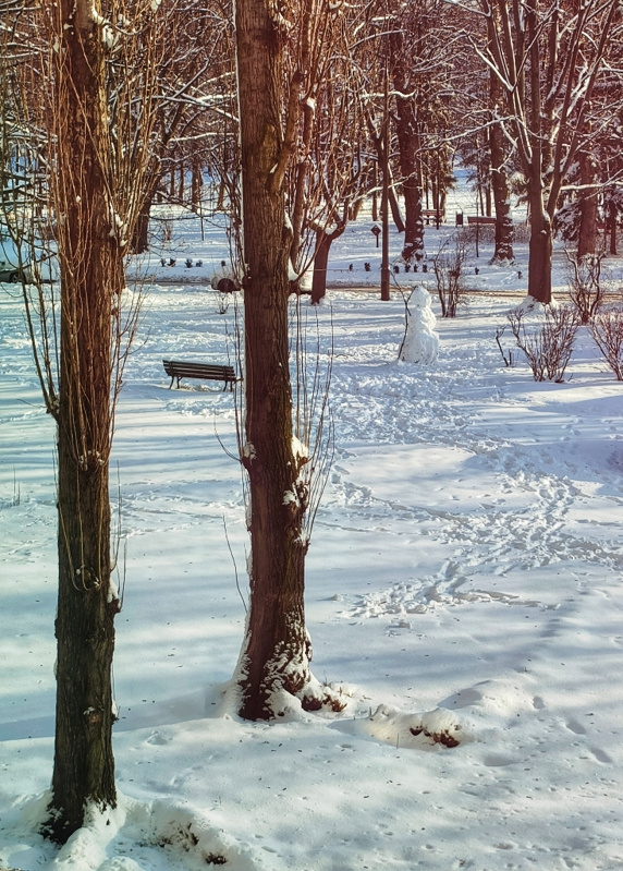 WINTER PARK