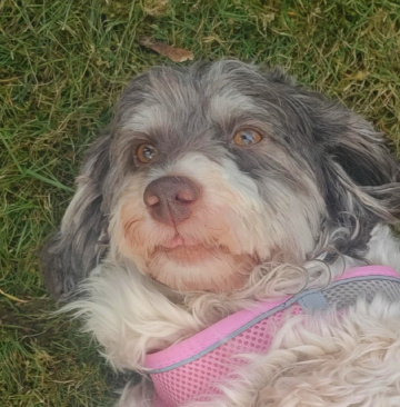 RELAX ON THE GRASS