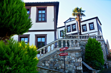 Manzara 